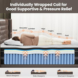 Medium Firm Queen Size Mattress, 14 inch Hybrid Mattress in a Box with Zoned Lumbar Support for Side Sleepers