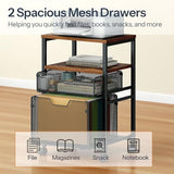 Rolling File Cart with 2 Storage Drawers, Under Desk Mobile Filing Cabinet on Wheels for Home Office