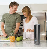 Air Stik Ulta-Slim Oscillating Desktop Fan, 2 Speeds, for Bedroom, Living Room, Office, 14", Gray Lasko