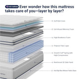 Avenco Queen Mattress 14 inch, Queen Hybrid Mattress in a Box