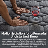 14 inch Medium Firm Mattress Queen, Hybrid Mattress with Back and Lumbar Hip Support