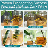 Houseplant Prop Drops – Rooting Hormone for Cuttings & Propagation Promoter | Root Growth Hormone & Root Stimulator | Supports Faster Root Development in Water & Soil Propagation | 8 oz