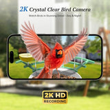 DOCOON Smart Bird Feeder with Camera, 2K HD AI Identify Birds Species, Bir d Watching Camera with Solar Panel, Instant Notifications, Ideal Present for Bir d Lover, Grass Green