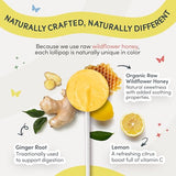 MommaBear Nausea & Motion Sickness Lollipops – Non-GMO Lemon & Ginger Candy for Nausea – Organic Lollipops for Kids 3+ & Pregnancy Must Haves to Ease Queasiness – Freshness, Sealed in (5 Pack)