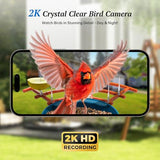 DOCOON Smart Bird Feeder with Camera, 2K HD AI Identify Birds Species, Bird Watching Camera with Solar Panel, Gift for Mom Dad Birdlovers