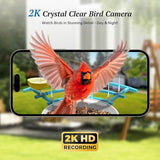 DOCOON Smart Bird Feeder with Camera, 2K HD AI Identify Birds Species, Bir d Watching Camera with Solar Panel, Auto Capture Bird Videos & Instant Notifications, Ideal Present for Bir d Lover, Blue