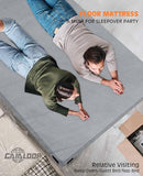 Gaialoop 3 Inch Memory Foam Camping Mattress, Dual Layer Thick Sleeping Camp Pad for Car Tent Cot, Roll-Up Portable Glamping Floor Bed for Guests Sleepover[Queen: 80 * 60 * 3"]