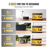 Rvpozwer 2 Pack 24V 100Ah LiFePO4 Lithium Battery, Built-in 100A BMS