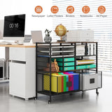 EasyPAG Rolling Cart with 2 Storage Drawer, Under Desk Filling Cabinet with Mail Sorter