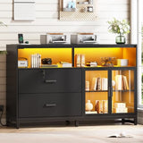 SEDETA 59" File Cabinet, 2 Drawers Filing Cabinets for Home Office fit Legal/Letter/A4 File