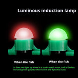 LED Night Fishing Strike Alert Glow Stick Bite Alarm,Fluorescent Dark Glow Sticks Float Accessories Corks,Nightfishing Luminous Rod Fishing Gear,Floats Terminal Tackle Accessories (10pc)