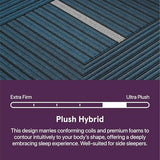 Beautyrest World Class Level Four Plush 13.5" Hybrid Full Mattress