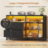 SEDETA 59" File Cabinet, 2 Drawers Filing Cabinets for Home Office fit Legal/Letter/A4 File