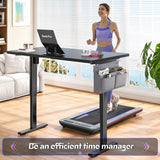 Electric Standing Desk with LED Lights,48 x 24 Inch Height Office Desk with 3 Memory Preset