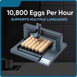 SYXINGL Single Head Auto Egg Inkjet Printer Inkjet Logo Barcode Printing Coding Machine