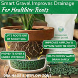 Houseplant Smart Gravel – Improve Drainage, Prevent Overwatering & Root Rot, Support Strong Roots | Eco-Friendly & Reusable Drainage Rocks for Potted Plants | Sustainably Recycled Ocean Plastic | 32oz