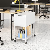 Mobile File Cart, 2-Tier Rolling File Cart with Wheels Hanging Files