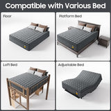14 inch Medium Firm Mattress Queen, Hybrid Mattress with Back and Lumbar Hip Support