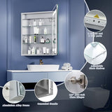 ExBrite LED Lighted Bathroom Medicine Cabinet with Mirror, 24 x 30 Inch, Recessed or Surface Mount, Anti-Fog