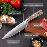Kitchen Knife in German 1.4116 High Carbon Steel, Professional Chef Knife with Ergonomic Pakkawood Handle and Ultra Sharp Blade, 8 Inch, ZHANG XIAO QUAN