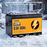 Rvpozwer 12V 100Ah LiFePO4 Lithium Battery 2 Pack Group 31 with 100A BMS