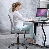 Office Desk Chairs No Arms Mesh Task Chair Ergonomic Computer Chair with Wheels, Armless Adjustable, Grey