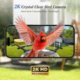 DOCOON Smart Bird Feeder with Camera, 2K HD AI Identify Birds Species, Bi rd Watching Camera with Solar Panel, Instant Notifications, Ideal Present for Bird Lover, Dark Green