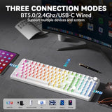 Wireless Mechanical Keyboard-Silent Version,BT5.0/2.4GHz/USB-C Hot Swappable Custom Keyboard