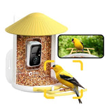 NETVUE by Birdfy AI Smart Bird Feeder with Camera, AI Auto Capture Each Bird Visit & Identify 6000+ Species, Cloud Store & Live Birdwatching, Ideal Gift (Yellow)