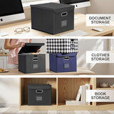 Hleelomi Collapsible File Box with Lid & Plastic Slide - Hanging Document Organizer for Office/Home, 14.96x12.6x10.83 Inch