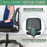 Swivel Armless Desk Office Chair Without Arms Adjustable Height and Lumbar Support for Home