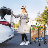 Foldable Grocery Cart on Wheels with Double Basket, Heavy Duty Utility Cart