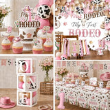 My First Rodeo Decorations Girl,220pcs Western Cowgirl First Rodeo Birthday Decorations Girl Plates and Napkins Cups Banner Backdrop Tablecloth Cake Topper Balloon for Rodeo Theme Party Decorations