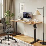 Agilestic Electric Standing Desk, 55 x 24 Inches Height Adjustable Desk, Sit Stand up for Work Office Home