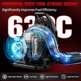 TDH Gas Backpack Leaf Blower, 2-Stroke Handheld Snow Blower with 665 CFM & 205 MPH High Power for Commercial Lawn Care, Yard Debris & Snow Removal,Black