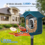 DOCOON Smart Bird Feeder with Camera, 2K HD AI Identify Birds Species, Bird Watching Camera with Solar Panel, Gift for Mom Dad Birdlovers