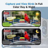 DOCOON Smart Bird Feeder with Camera, 2K HD AI Identify Birds Species, Bi rd Watching Camera with Solar Panel, Instant Notifications, Ideal Present for Bird Lover, Dark Blue