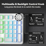 Wireless Mechanical Keyboard-Silent Version,BT5.0/2.4GHz/USB-C Hot Swappable Custom Keyboard