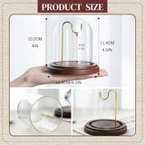 H&D HYALINE & DORA 3 x 4 Inch Clear Watch Glass Display Dome Cloche With Hook and Wooden Base, Bell Terrarium Jar for Watch Plants Medals Photos Collectibles