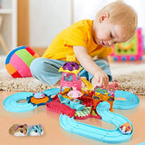 Hamster Track Toys for 5 Years Old Girl Gift,Pets Set Toys for 3 4 5 6 7 Years Old Girls Birthday Gifts