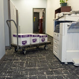 Akro-Mils Versa/Deck Push Dolly Cart with Wheels, Reinforced Plastic Platform Hand Truck with Removable Handle