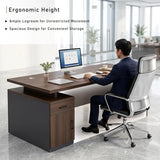 WYBFCWY Executive Office Desk with Storage Cabinet,Large Computer Desk for Home