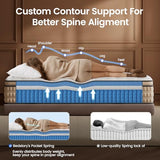 BedStory Extra Firm King Mattress 14 inch - Pain-Relieving Hybrid Mattress for Extra Lumbar & Hip Support