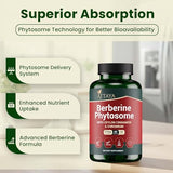 ATTAYA Berberine Phytosome Supplement (Berbevis®) with Ceylon Cinnamon & Chromium Picolinate | High Absorption Berberine Supplement | Berberine Weight Loss Support | Berberine Capsules | 60 Count