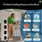 Air Oasis iAdapt 2.0 H13 HEPA Filter Air Purifier | Reduces Up To 99% of Viruses, Mold, Dust, Smoke, Pollen & Odors | 5,474 Sq Ft of Clean Air