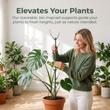Plant Stakes for Indoor Plants Adjustable to 25" with Trellis & Clips