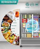 RENDGO 54" W Commercial Refrigerators - Reach-in 249 Cu.ft 2 Solid Door Stainless Steel Commercial Refrigerator Fan Cooling for Restuarant, Bar, Shop, etc