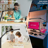 LED Desk Lamp with Clamp, Architect Desk Lamp with Dual Light and Adjustable Swing Arm, Clip-on Eye-Care 4 CCT Modes