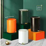 This Stainless Steel Pedal Bin with Lid - Modern Cosmetic Trash Can for Bathroom