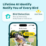 NETVUE by Birdfy Smart Bird Feeder with Camera – AI Identifies Birds Species 2MP Night Vision & App Alerts, 2.4Ghz Wi-Fi Connect IP65 Weatherproof Bird Camera-Gift for Backyard BirdWatchers, Yellow